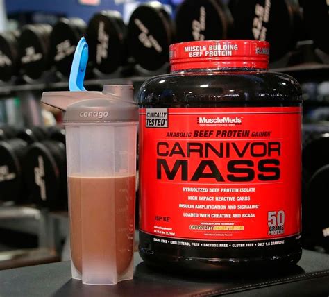 Carnivor от MuscleMeds: как принимать протеин, состав и отзывы