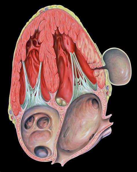 Hypertension and Kidney Failure: The Dangerous Two-Way Relationship