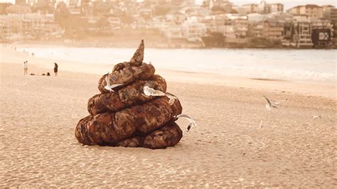 Una enorme caca en la playa llama la atención sobre la contaminación de ...