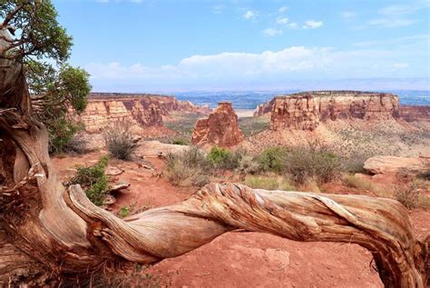 grand junction jobs  expanding