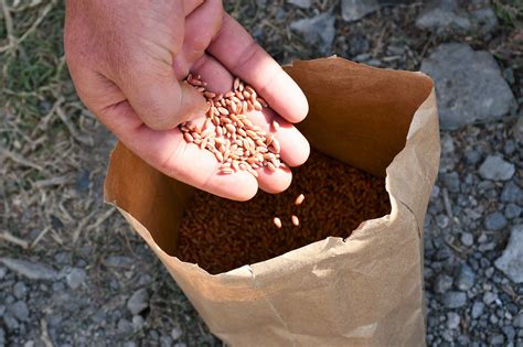 FAO in Armenia | Food and Agriculture Organization of the United Nations