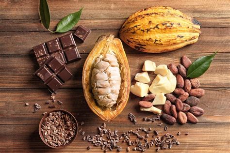 What are the Health Benefits of Cocoa?