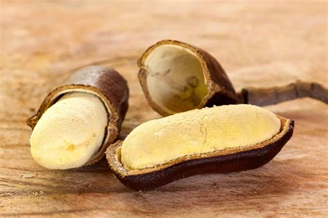 Já o quê? Jatobá! Confira os benefícios medicinais e nutricionais da fruta