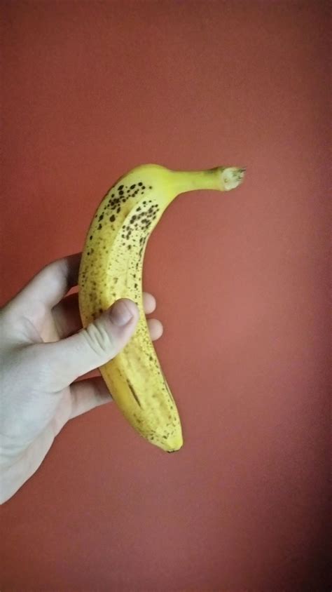 African Lungfish can survive out of water for over a year. However this