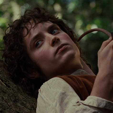 Frodo Baggins Icon ♡ | Frodo baggins, Frodo, Lord of the rings