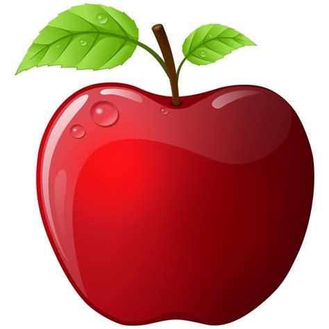 Vector Apple Free Vector | FreeImages