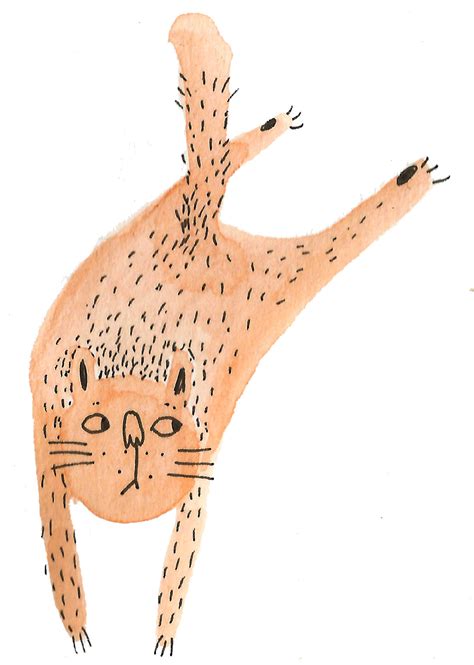 meow! on Behance
