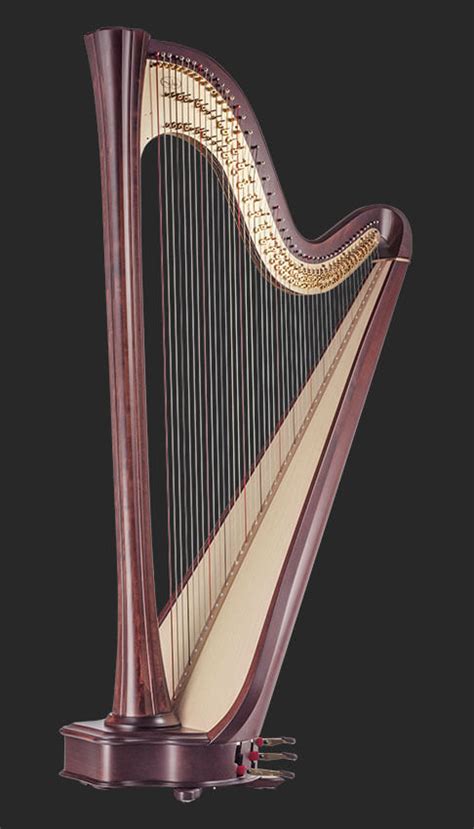 Salvi harps - Maison Glissando