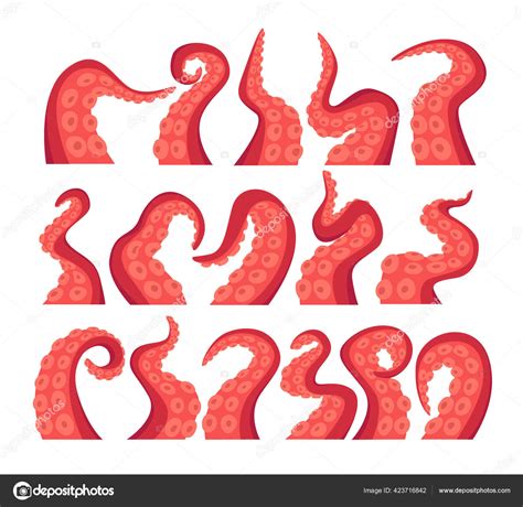 Octopus Tentacles Vector