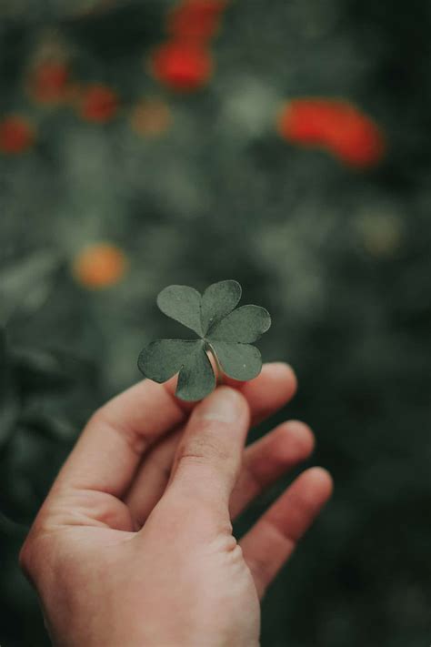 Creating Eco-Recycled fabric manufacturers - Functional fabric manufacturer