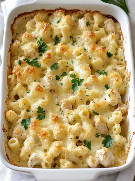 recipes for chicken alfredo bake 8