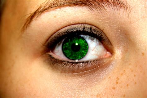 Deep Emerald Green Eyes at Seth Michael blog