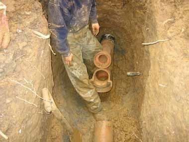 Buchan trap ~ Everything You Need to Know with Photos | Videos