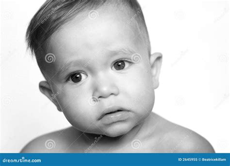 beautiful toddler stock image image  gaze flawless