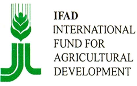 Naija AgroNet: New IFAD-supported project boosts rural economy, livelihoods