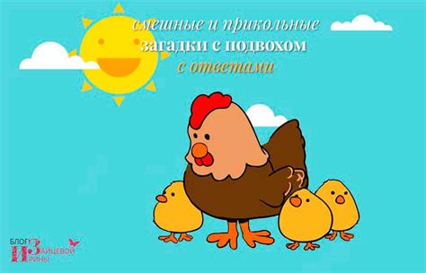 Смешные загадки с подвохом и загадки – обманки для детей и взрослых с ...