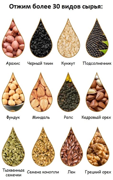 Шнековый маслопресс холодного и горячего отжима для дома