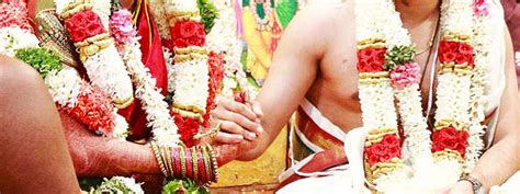 Iyer Brides - Brahmin Iyer Matrimony Girls - DivyaVivaham