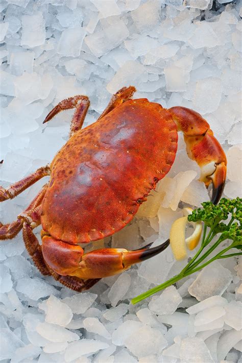 crab  island seafare island seafare