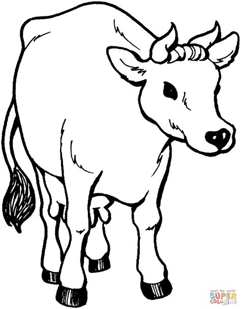 Cow printable coloring pages