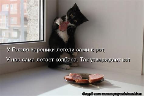 Котоматрица недели (22 фото) - 08.05.2020