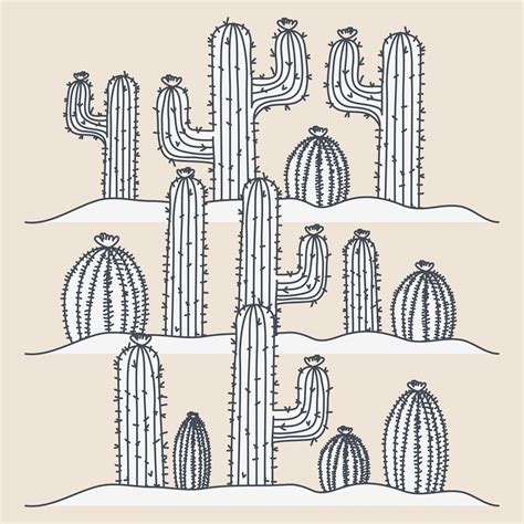 how to draw cacti 8