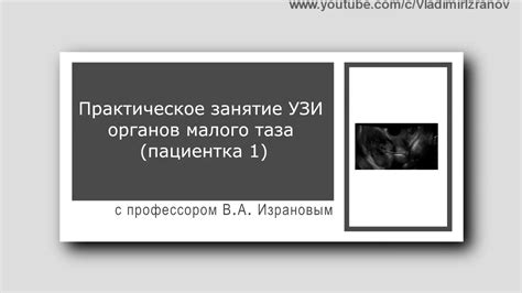 Практическое занятие: УЗИ органов малого таза у женщин (пациентка 1 ...