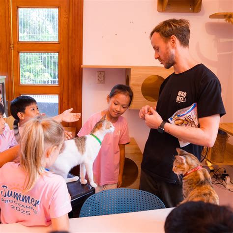 Australian International... - Australian International School