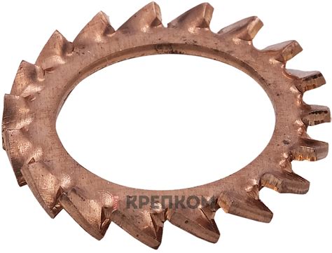 Шайба стопорная DIN 6798A М6, бронза (Silicon bronze) - купить в Крепком