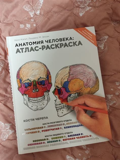 Анатомія людини атлас розмальовка анатомия человека раскраска: 550 грн ...