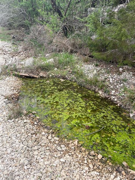 Sage Summers🌿 (@f0lksl0r3) on Threads