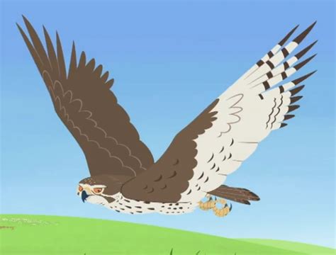 Unleash the Ultimate Wild Kratts Showdown in the Heart of the Prairie - Veja Store Site