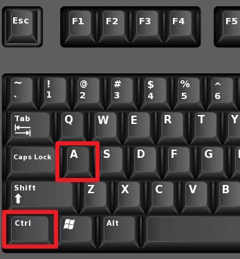 Как выделить весь текст в ворде, сочетание клавиш, выделить все в word