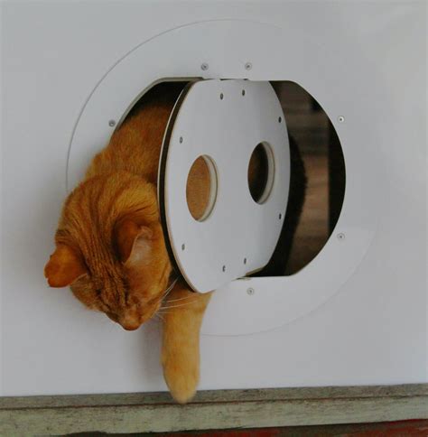 Cat Doors Saskatoon at Alonzo Caraway blog