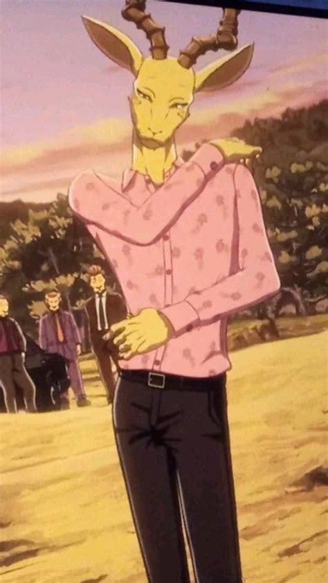 melon beastars final season / anime | Furry videos, Cute drawings, Melon