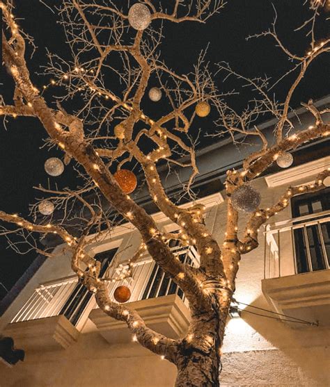 Osteria - 🎄 𝙒𝙝𝙚𝙧𝙚 𝙩𝙝𝙚 𝙨𝙚𝙖𝙨𝙤𝙣’𝙨 𝙢𝙖𝙜𝙞𝙘 𝙘𝙤𝙢𝙚𝙨 𝙖𝙡𝙞𝙫𝙚 Our nights at Osteria