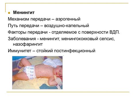 Частная бактериология. Возбудители бактериальных инфекций - презентация ...