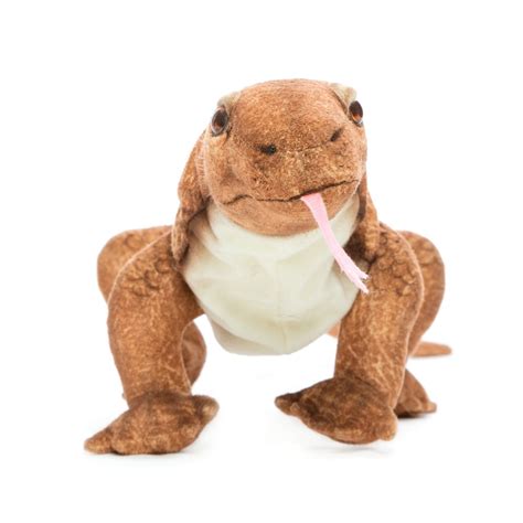 Komodo Dragon 70cmL - Hamac Trading