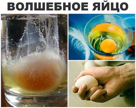 Чистка яйцом - 2 способа от целителя снять сглаз и порчу