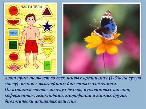 Азот. Соединения азота - презентация онлайн