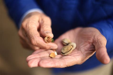 Eating more of these plant-based foods could lower your risk of heart