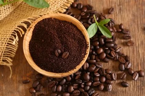 rekomendasi kopi terbaik  liburan  kopinya manggarai news