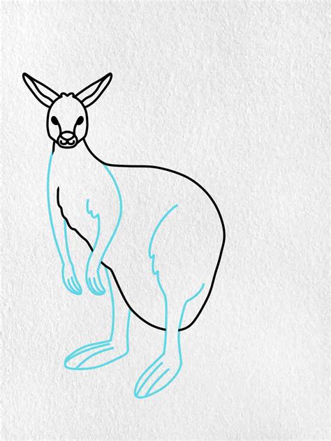 how to draw a kangaroo 2
