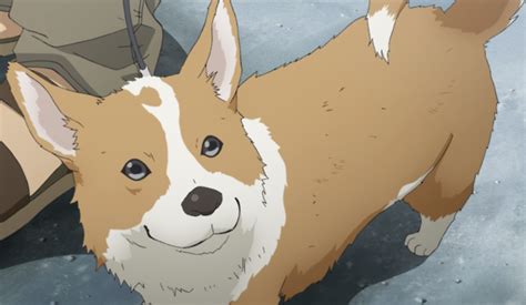 Today’s anime dog of the day is: This corgi from...