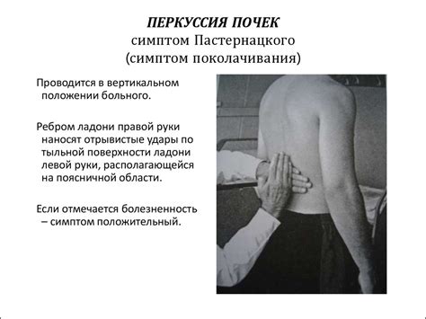 Методы исследования мочевыделительной системы - презентация онлайн