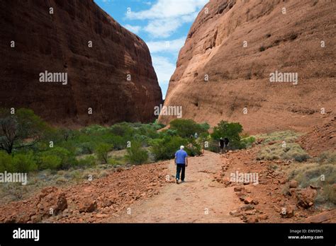Australia, NT, Uluru & Kata Tjuta National Park. Kata Tjuta (aka the ...
