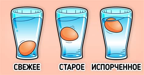 Как понять, что яйцо испортилось / Бери и делай