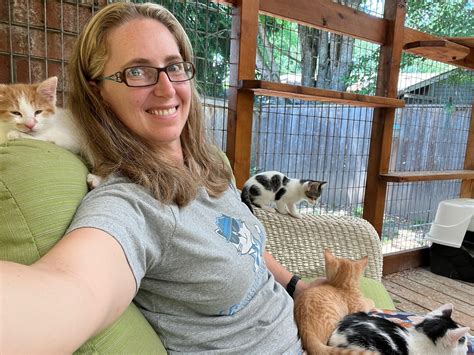 Pet lovers are praising cat rescues near me no kill on Facebook 44