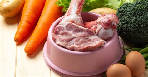 running  barf food business  makesend