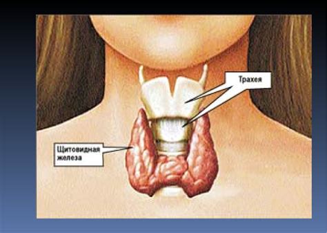Эндокриндік патологияның визуалді диагностика әдістерінің ерекшеліктері ...